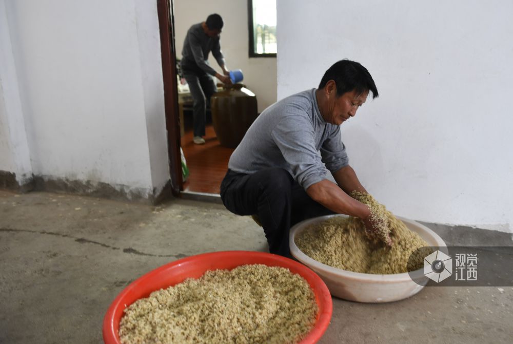 临近清明节 南昌这个乡里家家户户都开起了&quot;酒坊&quot;