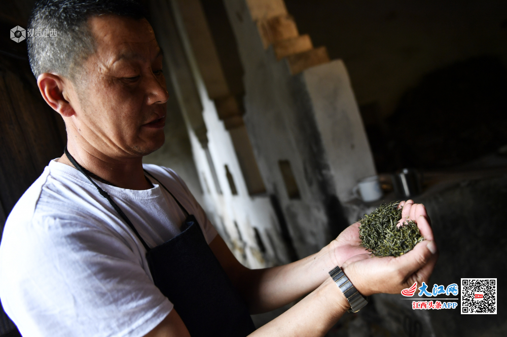 庐山深山之中有茶人 手艺代代相传只为最好的那杯茶