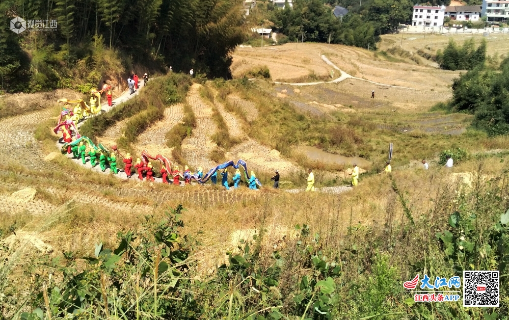 2019年10月5日，江西省遂川县珠田乡珠溪村辛勤劳作的一些农夫在珠溪梯田里表演展示非物质文化遗产《五龙下海》的灯彩节目。