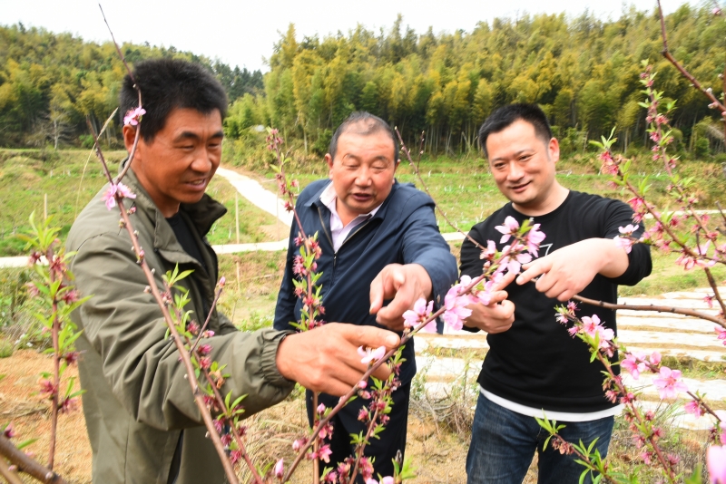 江西南昌：扶贫基地管护忙