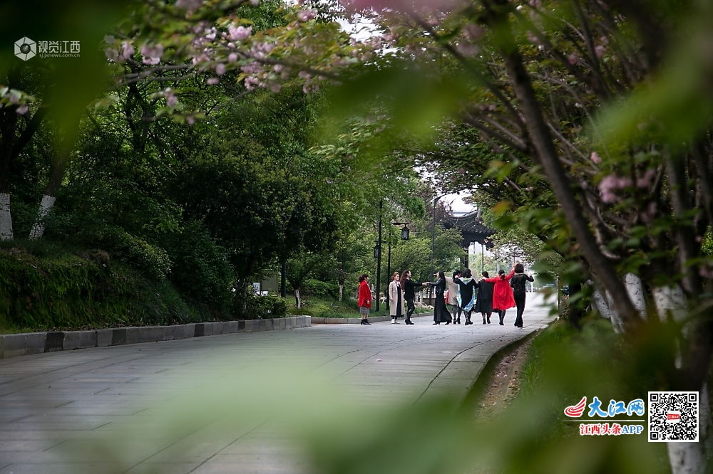 2020年4月6日，清明时节，天气回暖，八大山人梅湖景区空间宽敞，花团锦簇，鸟飞鱼跃，引无数游人踏青。图为游人在?；ㄊ飨律突ā? bigimg=