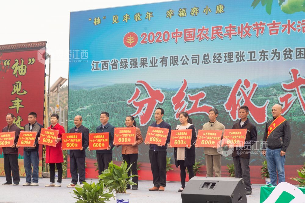2020年11月21日，江西省吉安市吉水县白水镇在做好疫情防控措施的前提下，举办“中国农民丰收节”吉水活动。各村的井冈蜜柚销售摊位上销售火爆。
