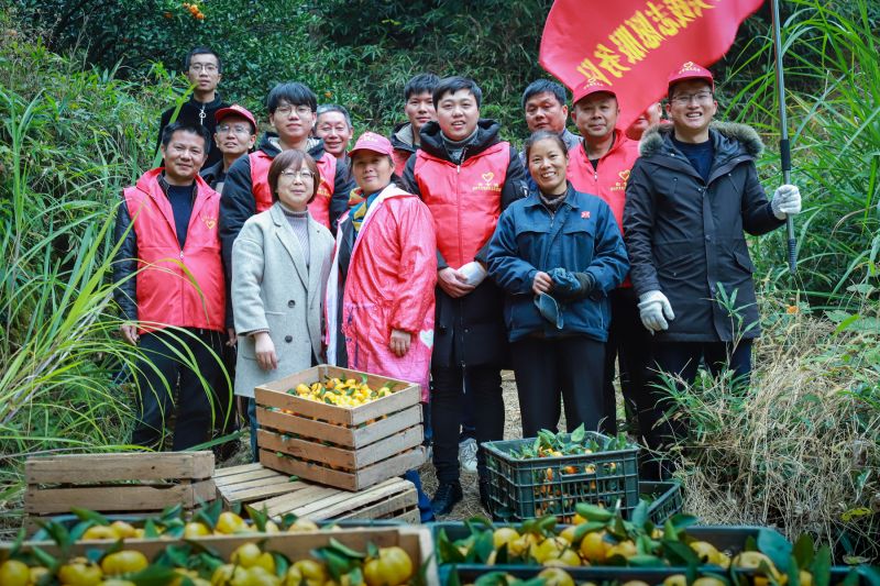江西南丰：脱贫攻坚固成果  橘园采摘解民忧