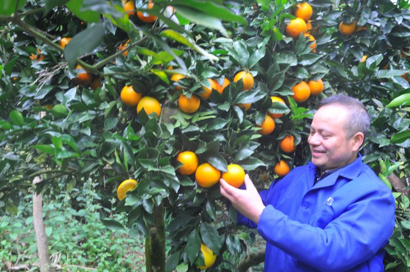 李祝平：“中国好人、助残模范”助力脱贫攻坚