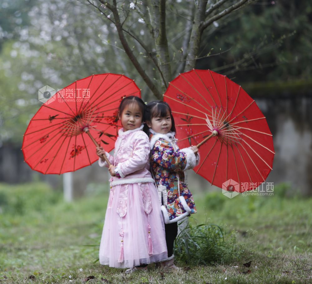 2021年3月17日，江西省分宜县洋江中心幼儿园内?；ㄕ婪牛鲜γ谴煊锥∏樾郎?，陶醉在?；种?。