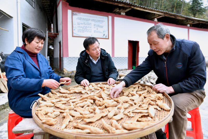 全国人大代表左香云：大胆探索 情牵百姓 心系发展