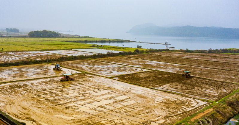 江西吉水：春分时节耕田忙