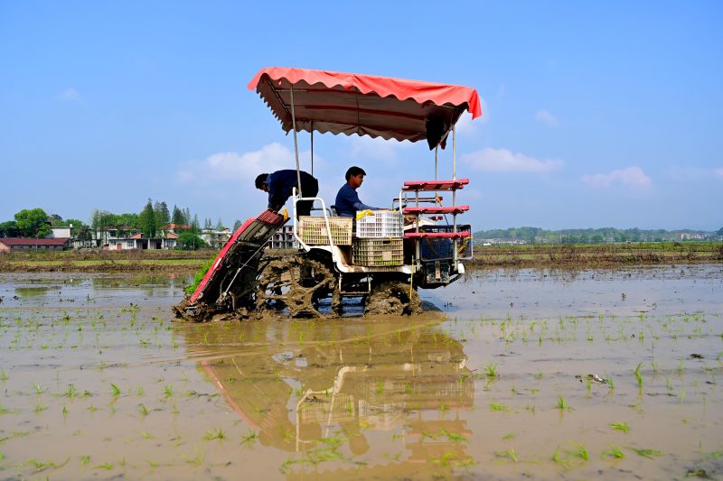 江西万载：机械化助力春播春插