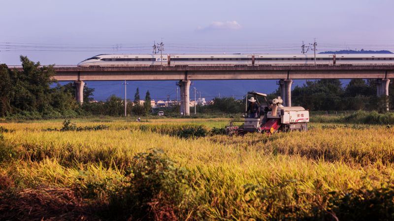 江西新余：严守耕地红线 田野丰景如画