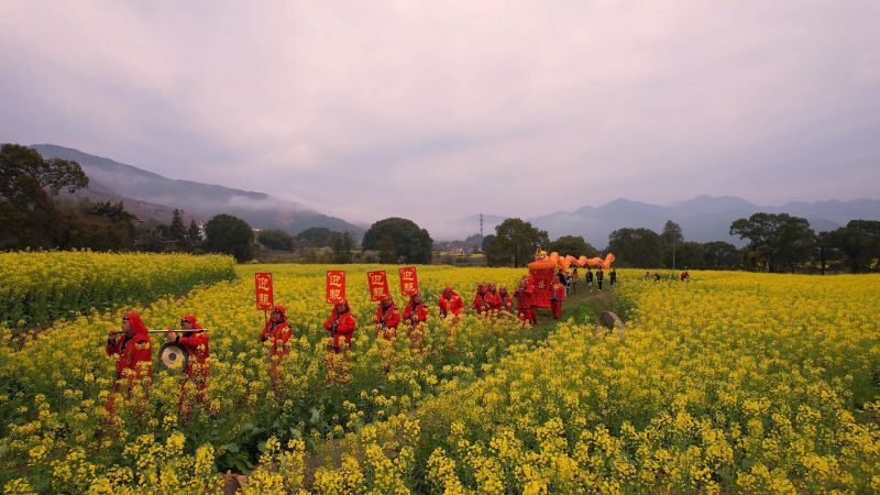 【视频】江西万安：油菜花迎春开 乡村美景醉游人