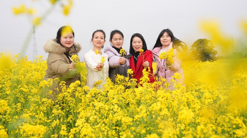 江西永丰：千亩油菜花绽放 春光美景引客来