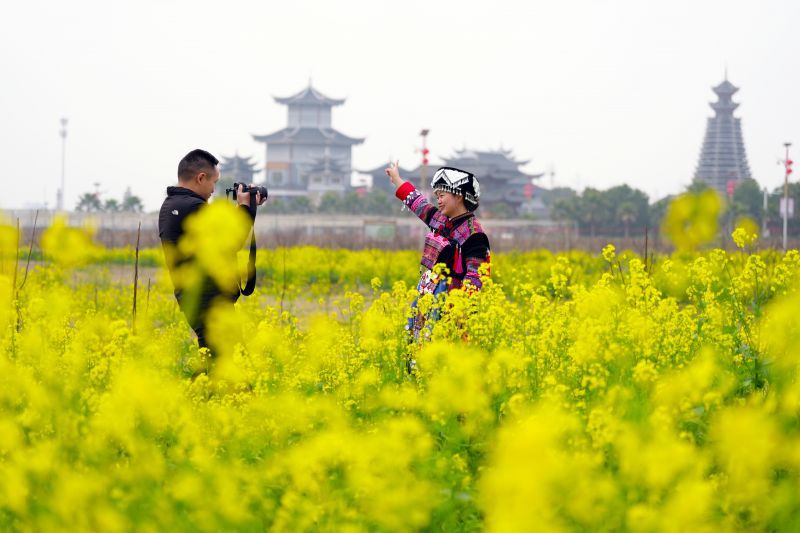 江西峡江：踏青赏花享春光 “春日经济”活力足