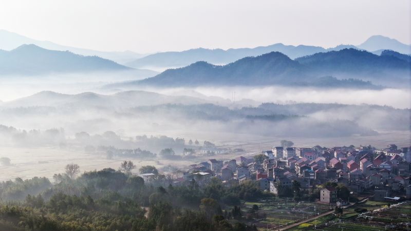 江西峡江：云海春景美如画