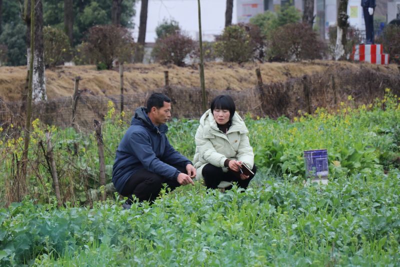 全国人大代表谭新萍：扎根乡土 力推农旅 惠泽民生