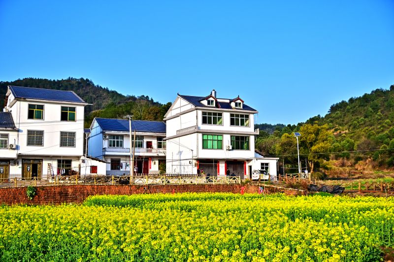 江西铅山：油菜花扮靓乡村