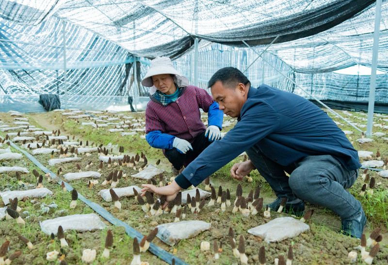 江西金溪：注重发挥致富党员示范帮带作用