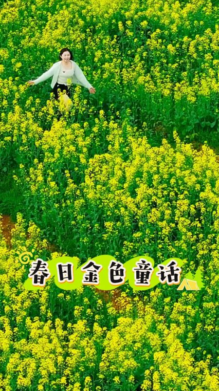春日花海醉游人