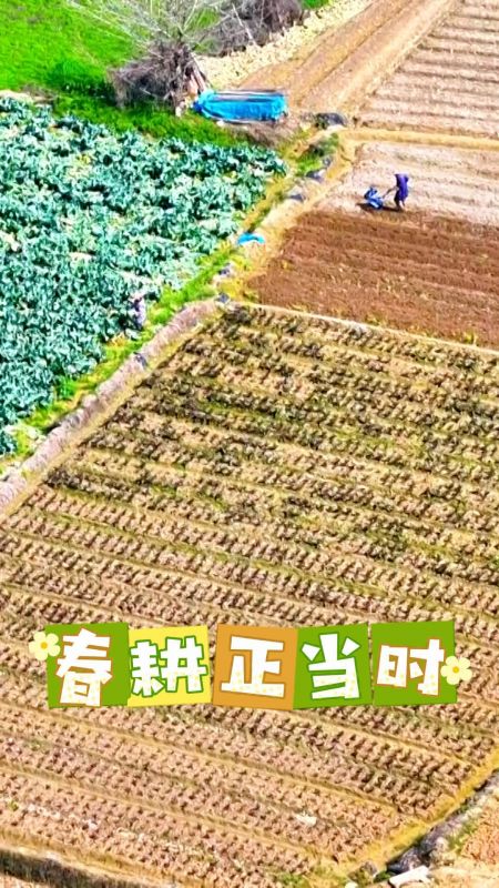 春耕正当时