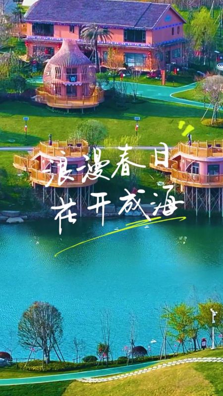 江西峡江：浪漫春日 花开成海