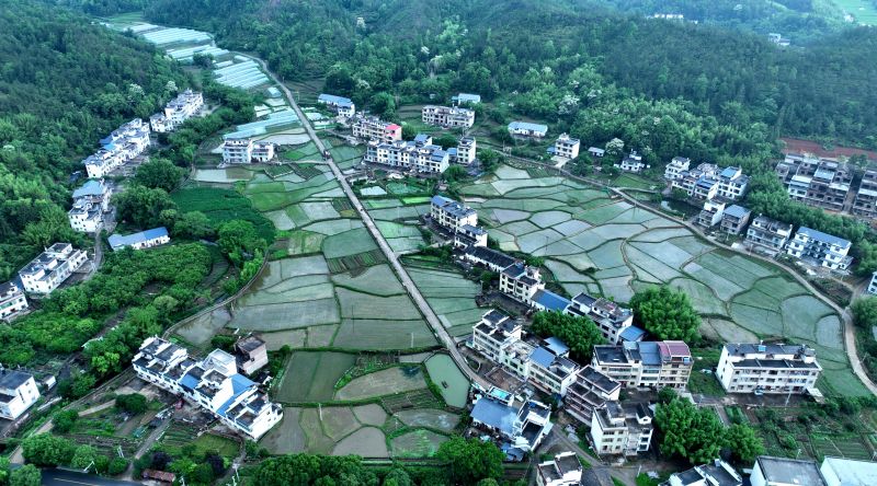 江西遂川：五月乡村田园织锦绣