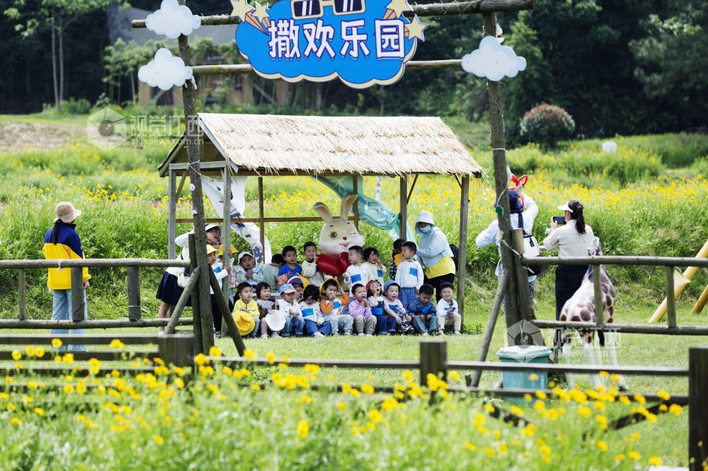5月8日，在江西省新余市渝水区良山镇下保村，游客在格桑花中打卡拍照。