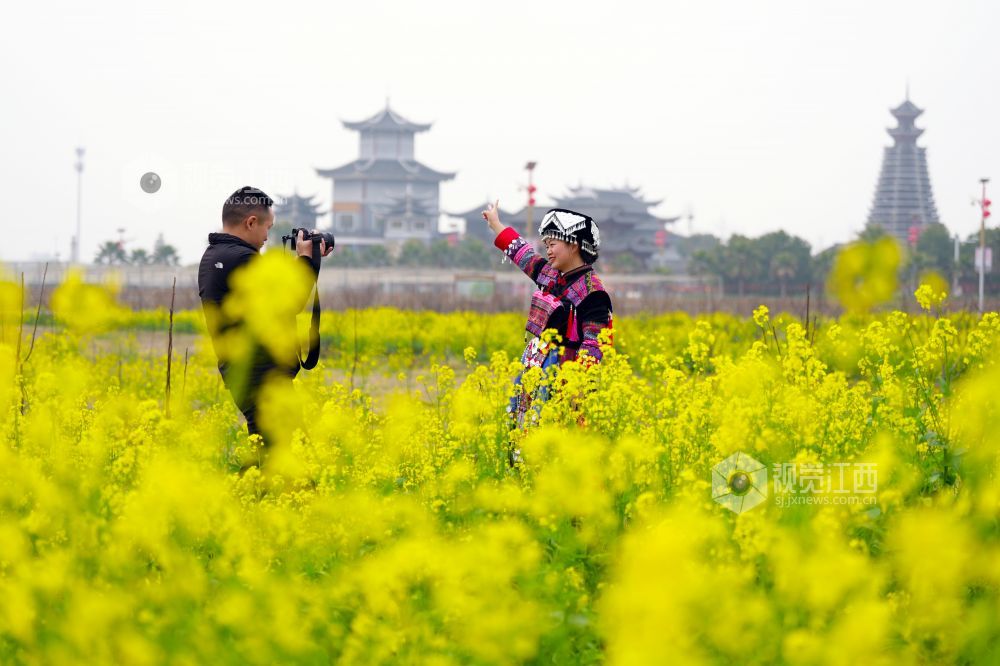 2025年2月26日，江西峡江县金梅花景区的油菜花灿烂盛开，游客换上特色的民族服饰，体验景区推出的“花?；蛔?rdquo;活动。